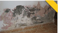 Pinturas Javea